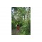 Silky HAYAUCHI 3670 POLE SAW