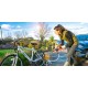 COBRA PW18024V - 24V Pressure washer