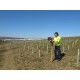 Easy Petrol Post Driver, Classic50 (1 Adapter)