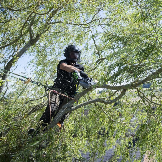EGO CS1200E Professional Top-Handle Chainsaw EGO CS1200E Professional Top-Handle Chainsaw
