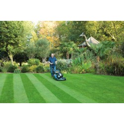 Hayter Harrier 56 VS ES Roller Petrol Lawnmower