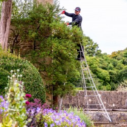 Henchman 10ft One Adjustable Leg Platform Tripod Ladder