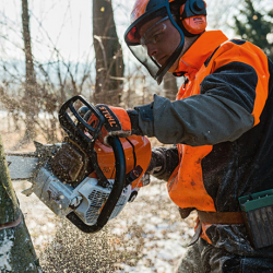 STIHL MS 661 C-M 28" - Powerful, professional forestry and big timber chainsaw STIHL MS 661 C-M 28" - Powerful, professional forestry and big timber chainsaw