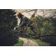 STIHL GTA 40 - Cordless professional garden pruner