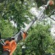 STIHL HT 135 - Petrol pole pruner with telescopic shaft.