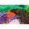 Ropes & Cordage